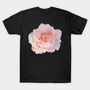 China Rose T-Shirt